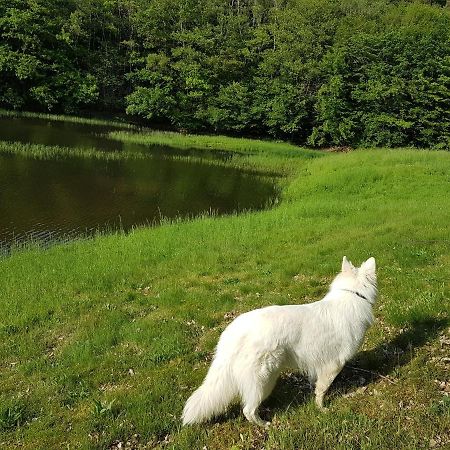 Gite Le Domaine D Orphee Marmagne  外观 照片