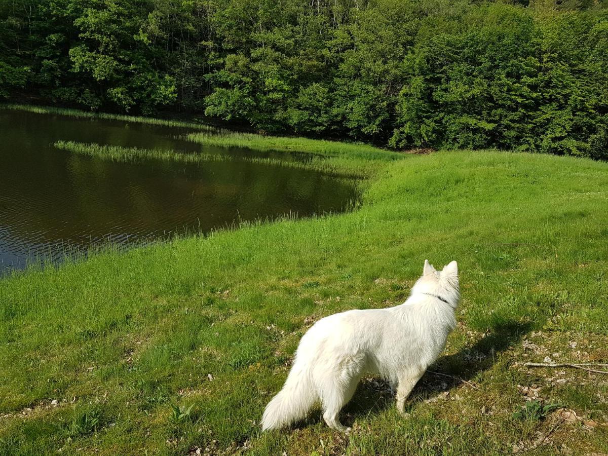 Gite Le Domaine D Orphee Marmagne  外观 照片