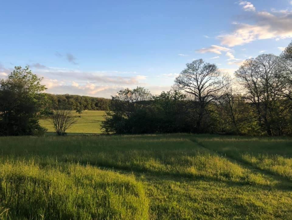 Gite Le Domaine D Orphee Marmagne  外观 照片