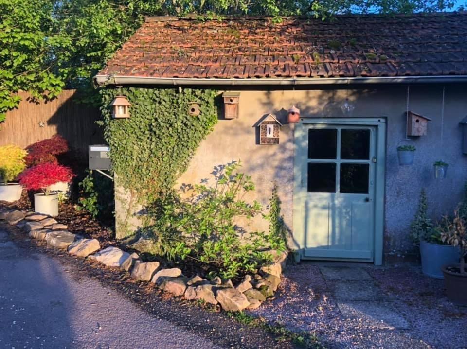 Gite Le Domaine D Orphee Marmagne  外观 照片